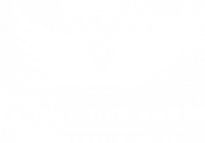 Logo LA BAIE DES ANGES